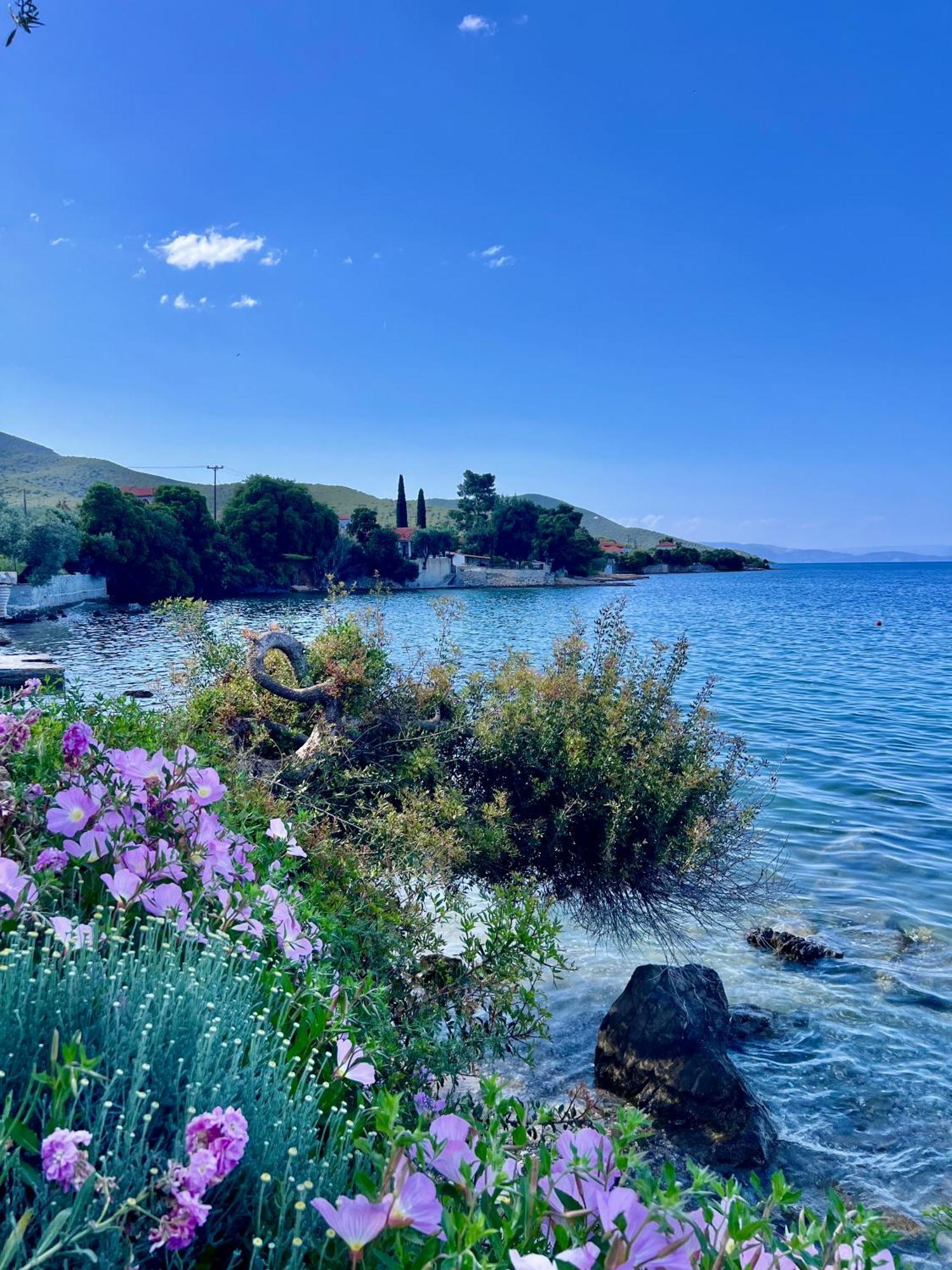 Villas Nies Sourpi Экстерьер фото